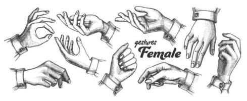 Collection of Different Gesture Set Vintage Vector