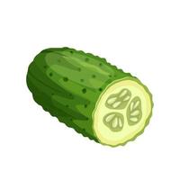 Ilustración de vector de dibujos animados de corte de pepino