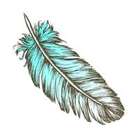 Color Lost Bird Outer Element Feather Sketch Vector