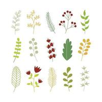 conjunto de coloridas hojas de plantas dibujadas a mano ilustración vectorial vector