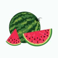 Watermelon and juicy slices. Vector illustration of a watermelon in a flat design. Illustration of the concept of summer food, isolated on a white background.