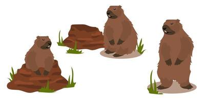 A set of groundhogs for groundhog Day with a mink from which he got out. a harbinger of spring. A festive set for postcards, banners and flyers. Vector illustration.