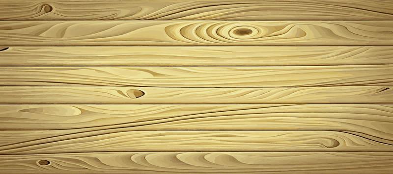 Panoramic light wood texture with knots, plank background - Vector