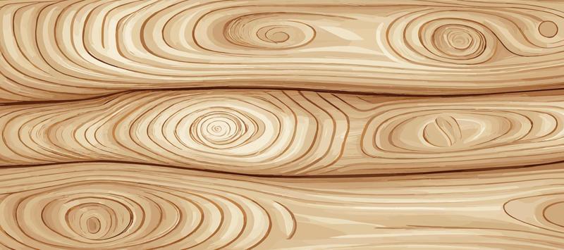 Panoramic light wood texture with knots, plank background - Vector