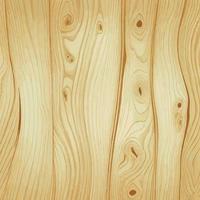 Light wood texture with knots, plank background - Vector