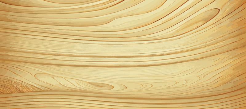 Panoramic texture of light wood with knots - Vector