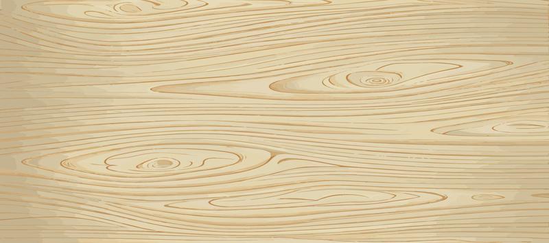 Panoramic texture of light wood with knots - Vector