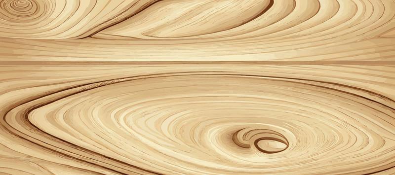 Panoramic texture of light wood with knots - Vector