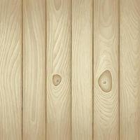 Light wood texture with knots, plank background - Vector