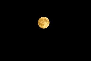 full moon, moon yellow photo