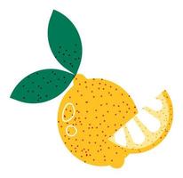 fruta de limón, cítricos con hoja, vector de producto