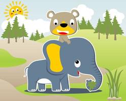 Cute bear riding on elephant in forest, vector cartoon illustration