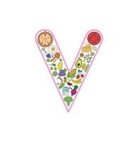 conjunto de iconos de collage de alimentos y bebidas de la letra v. conjunto vectorial de alérgenos esenciales e iconos de línea de dieta. conjunto de iconos de alimentos editables. vector