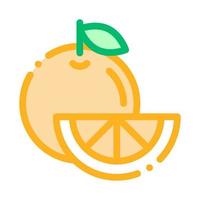 comida sana fruta naranja vector icono de línea delgada