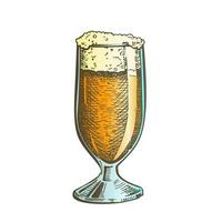 Color Drawn Classical Glass With Foam Beer Vector