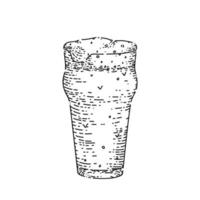 beer cup sketch hand drawn vector