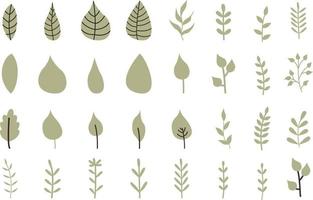 big set of green leaf icons, collection of plants set on a white background, vector illustration