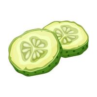 cucumber slice cartoon vector illustration