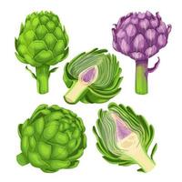 artichoke food set cartoon vector illustration