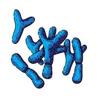 bacteria epidemic sketch hand drawn vector