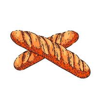 french bread sketch hand drawn vector
