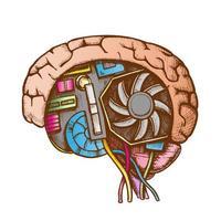 Ai Cyberntic Brain Side View Color Vector