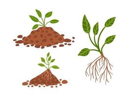 Vector set of plants grow up in ground. Hand drawn plant in black ground. Seedling leafy plant. stickers, spring decor, textile, greeting cards. Vector stock illustration.