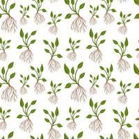 Plant with roots seamless pattern vector