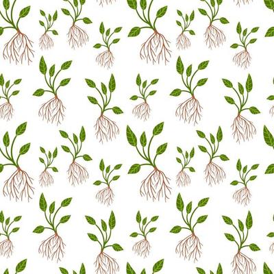 Plant with roots seamless pattern