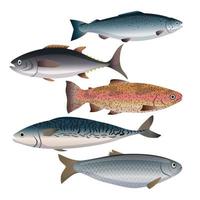 fish food set cartoon vector illustration