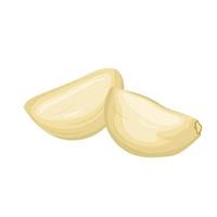 garlic cloves peeled cartoon vector illustration