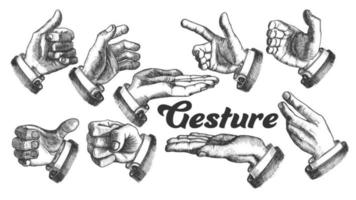 Collection of Different Gesture Set Vintage Vector