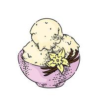 vanilla ice cream sketch hand drawn vector