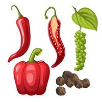 pepper black chili cartoon vector