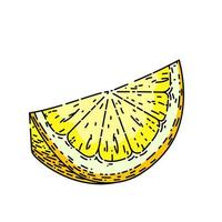 slice lemon sketch hand drawn vector