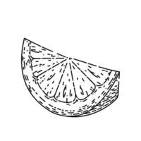 slice lemon sketch hand drawn vector