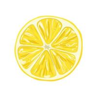 lemon ripe slice cartoon vector illustration