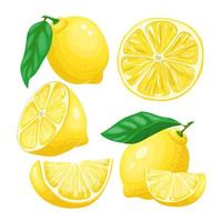 lemon yellow fruit set cartoon vector illustration