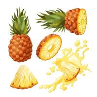 pineapple fruit set cartoon vector illustration