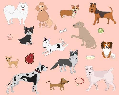 dogs of different breeds
