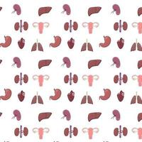 pattern internal organs vector