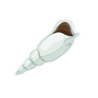 ocean sea shell cartoon vector illustration