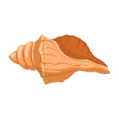 shell sea cartoon vector