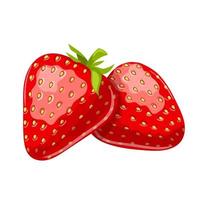 strawberry cartoon vector illustration
