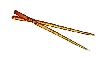 Wooden Chopsticks Eating Tool Color Vector