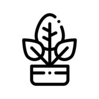 Bush Plant Leaves In Pot Vector Thin Line Icon