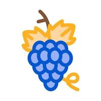 ilustración de contorno de vector de icono de racimo de uvas