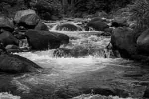 river flows over rocks - black and white stock photo. 1 photo