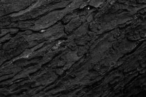 wood abstract background photo