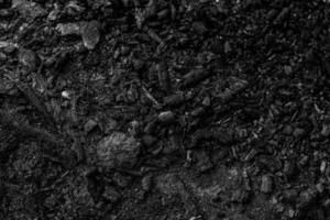 charcoal wood abstract background photo